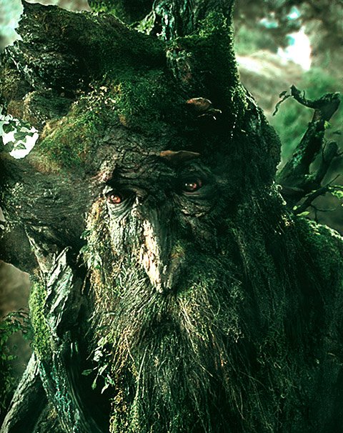Treebeard bio