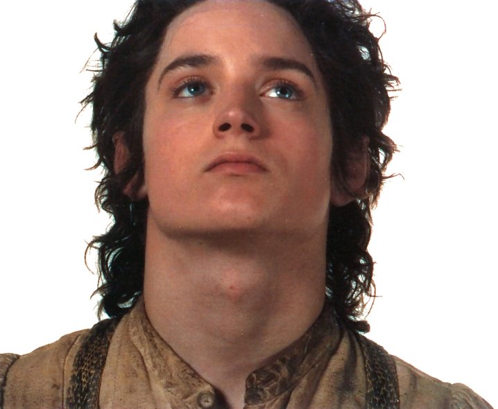 actor who played frodo actor who played frodo