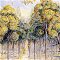 Lothlorien in springtime